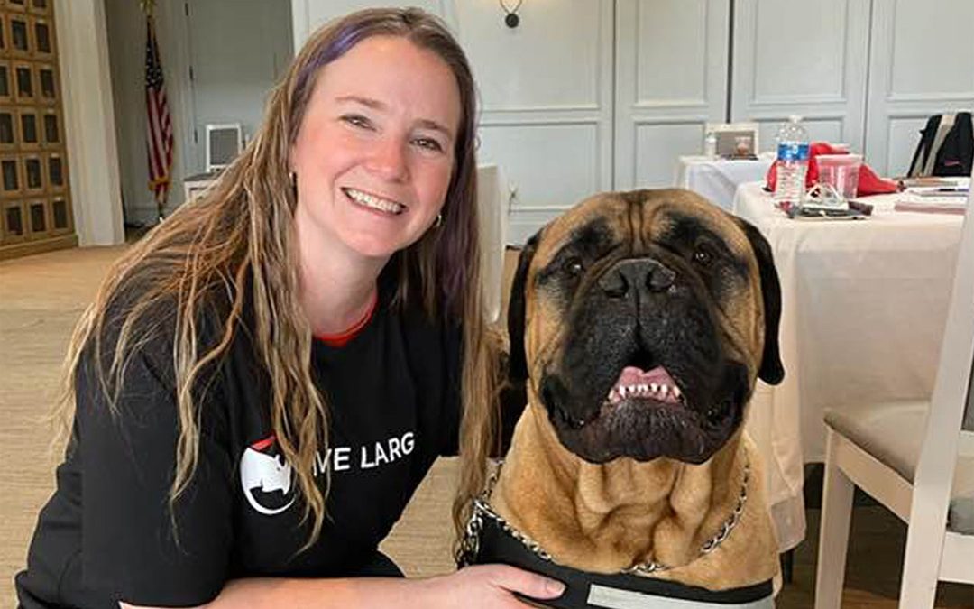 No, that’s not my dog…