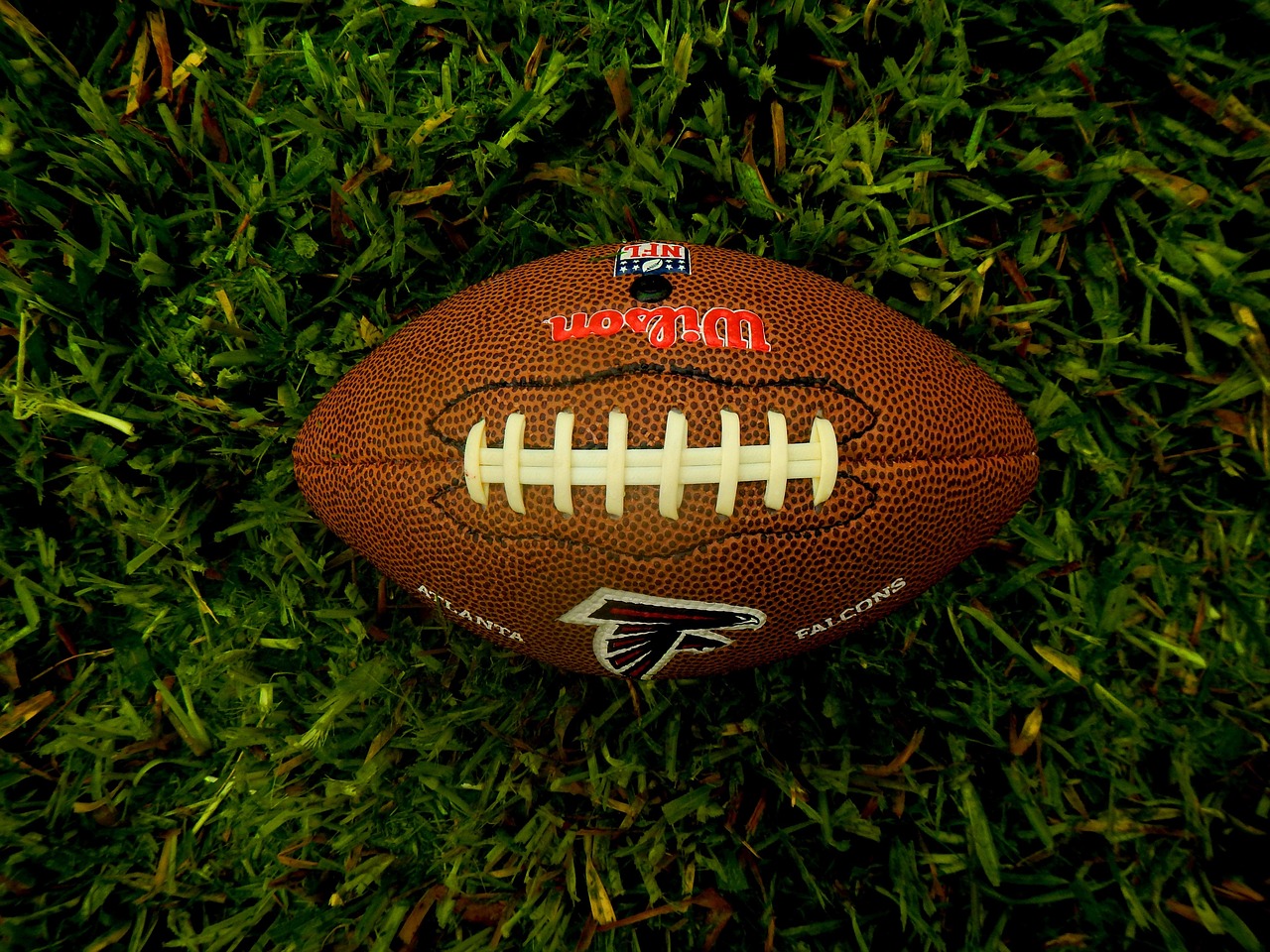 football-preseason-nfl