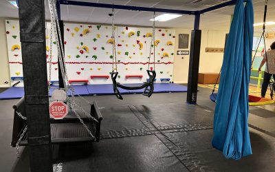 Business Feature: SOS Barnyard Sensory Gym